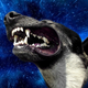 Illustration for article titled Dogs love sticking their heads out the window even more at warp speed